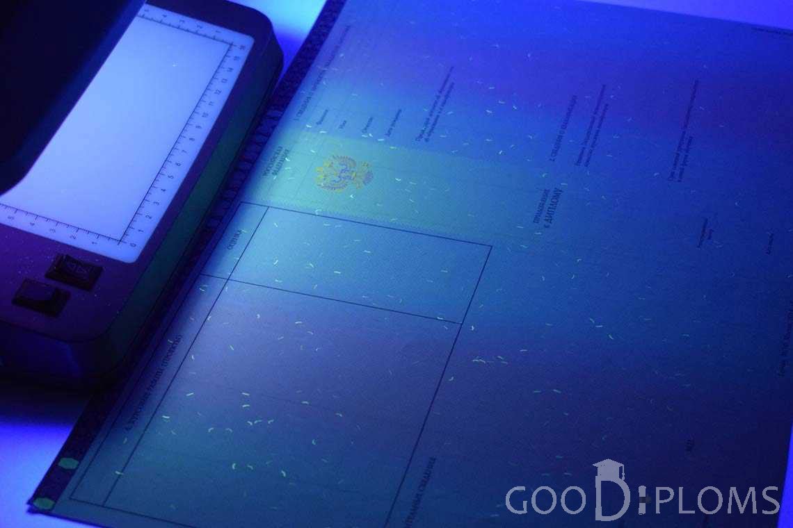 Приложение к Диплому Бакалавра с Отличием в Ультрафиолете период c 2013 по 2025 год - Павлодар
