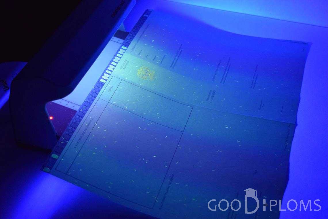 Приложение к Диплому Магистра в Ультрафиолете в период c 2014 по 2025 год - Павлодар