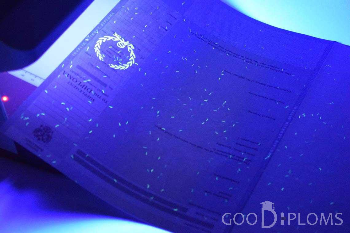 Приложение к Диплому Для Иностранных Граждан в Ультрафиолете - Павлодар