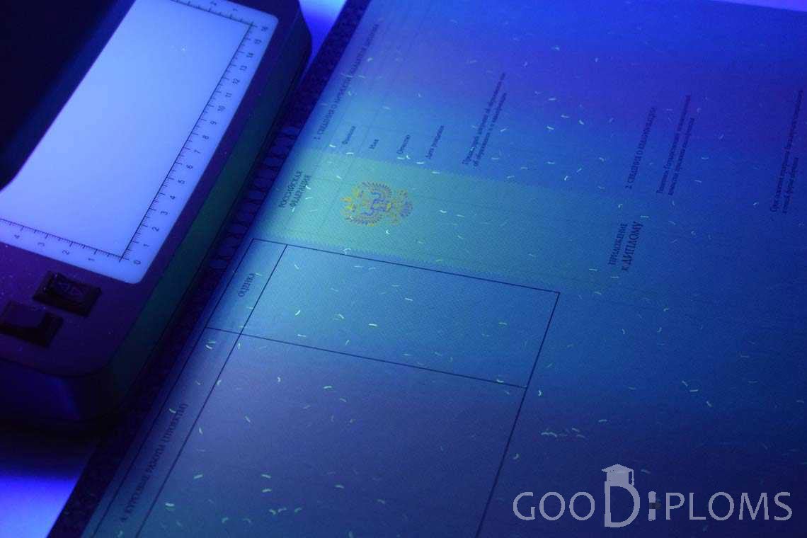 Приложение к Диплому о Высшем Образовании с Отличием в Ультрафиолете - Павлодар